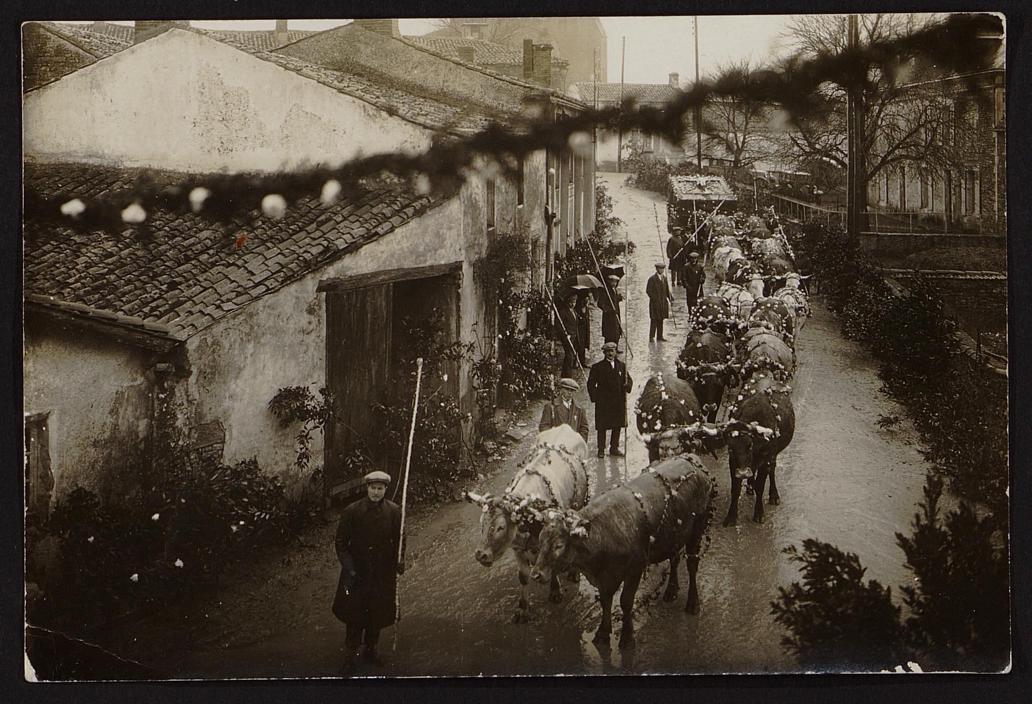 Archive Thiré