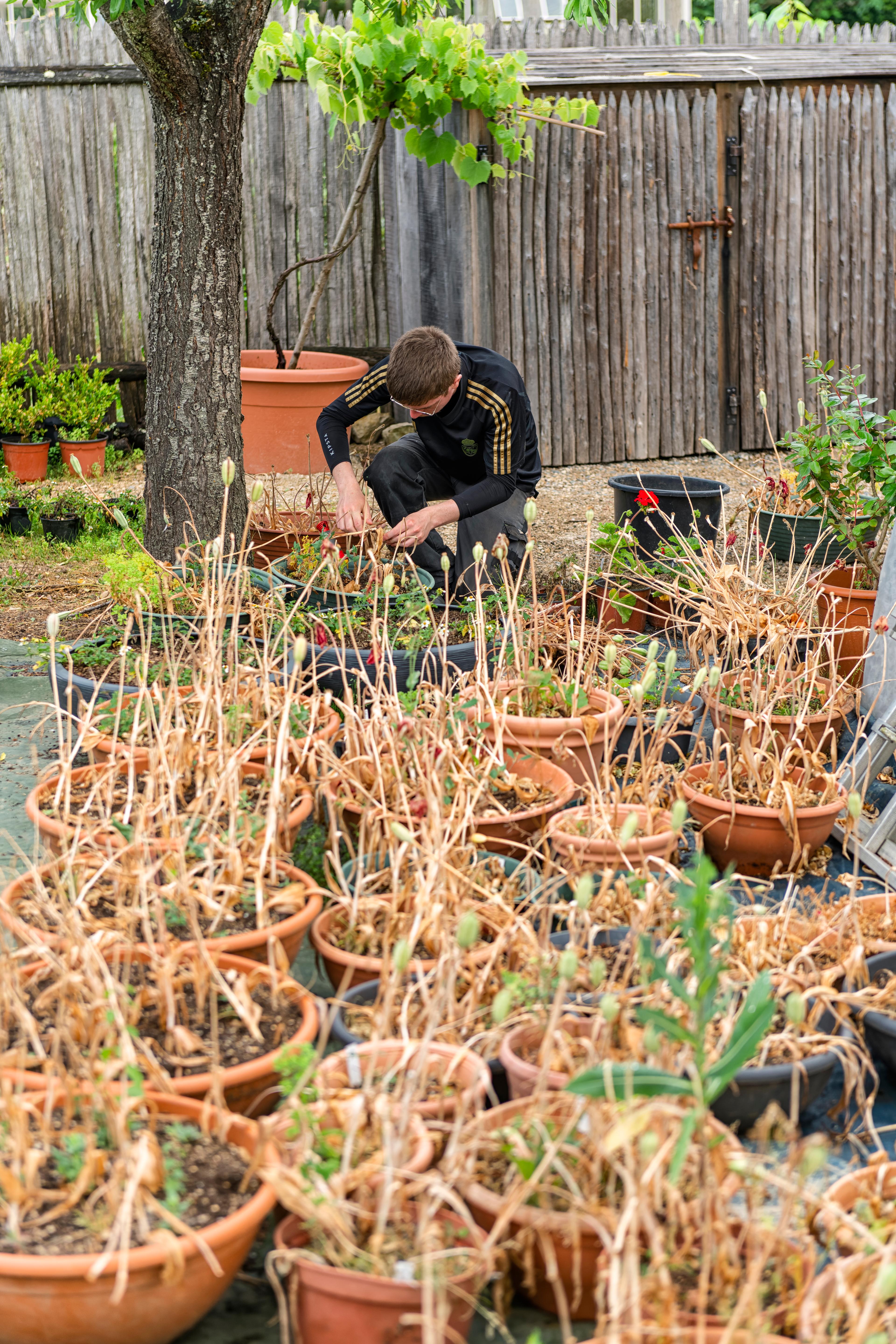 Jardinage dans les Jardins de William Christie