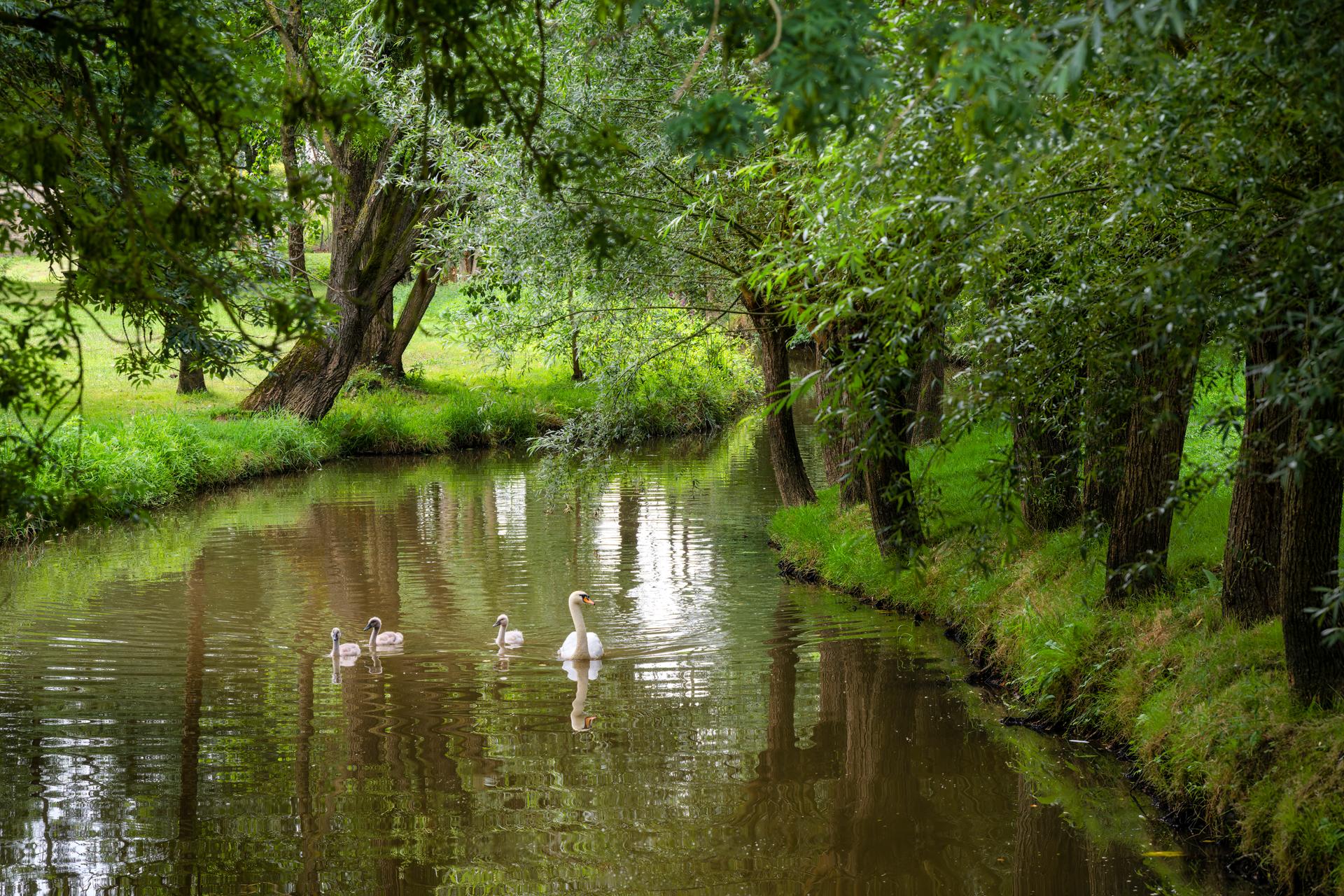 Jardins de William Christie