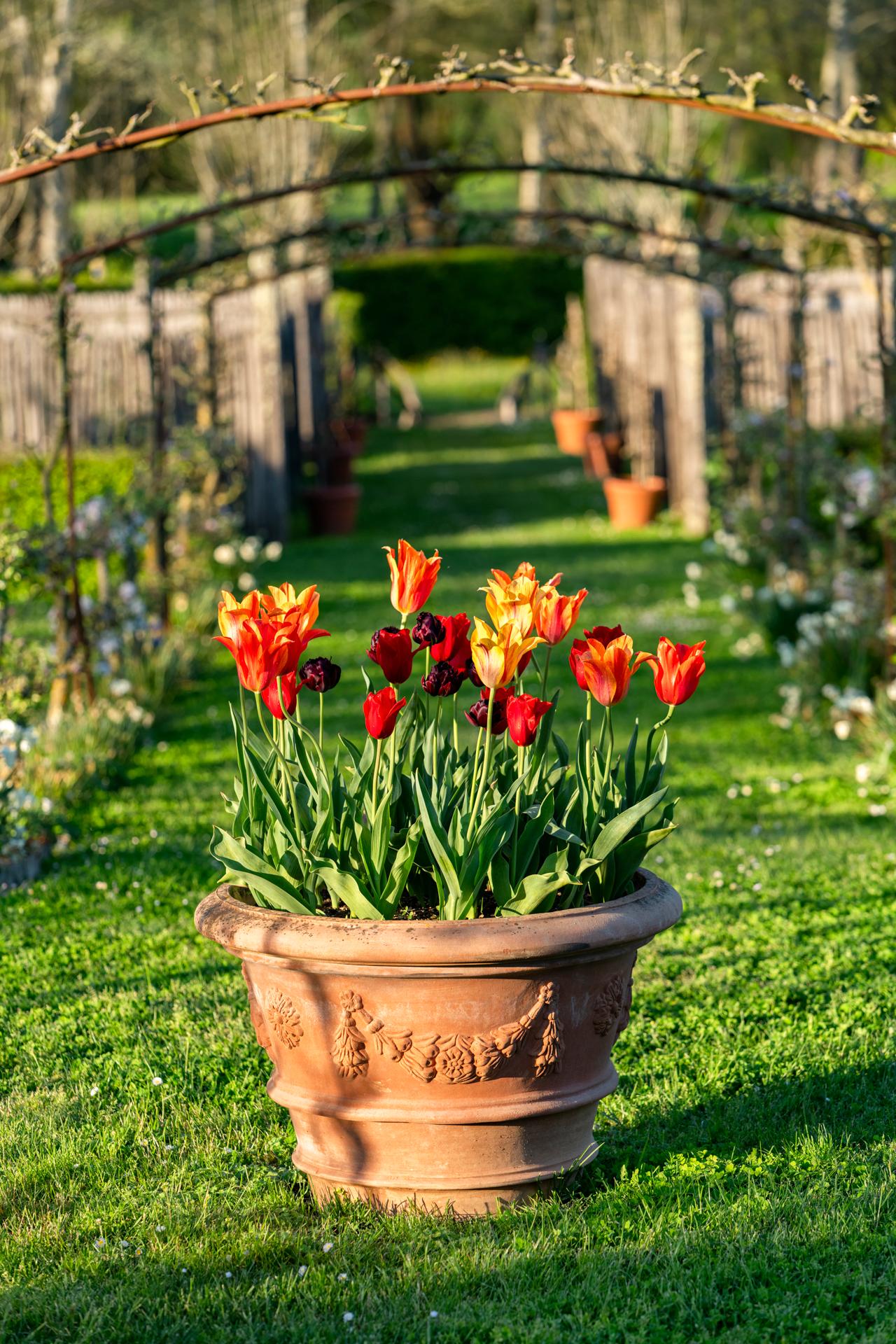Jardins de William Christie