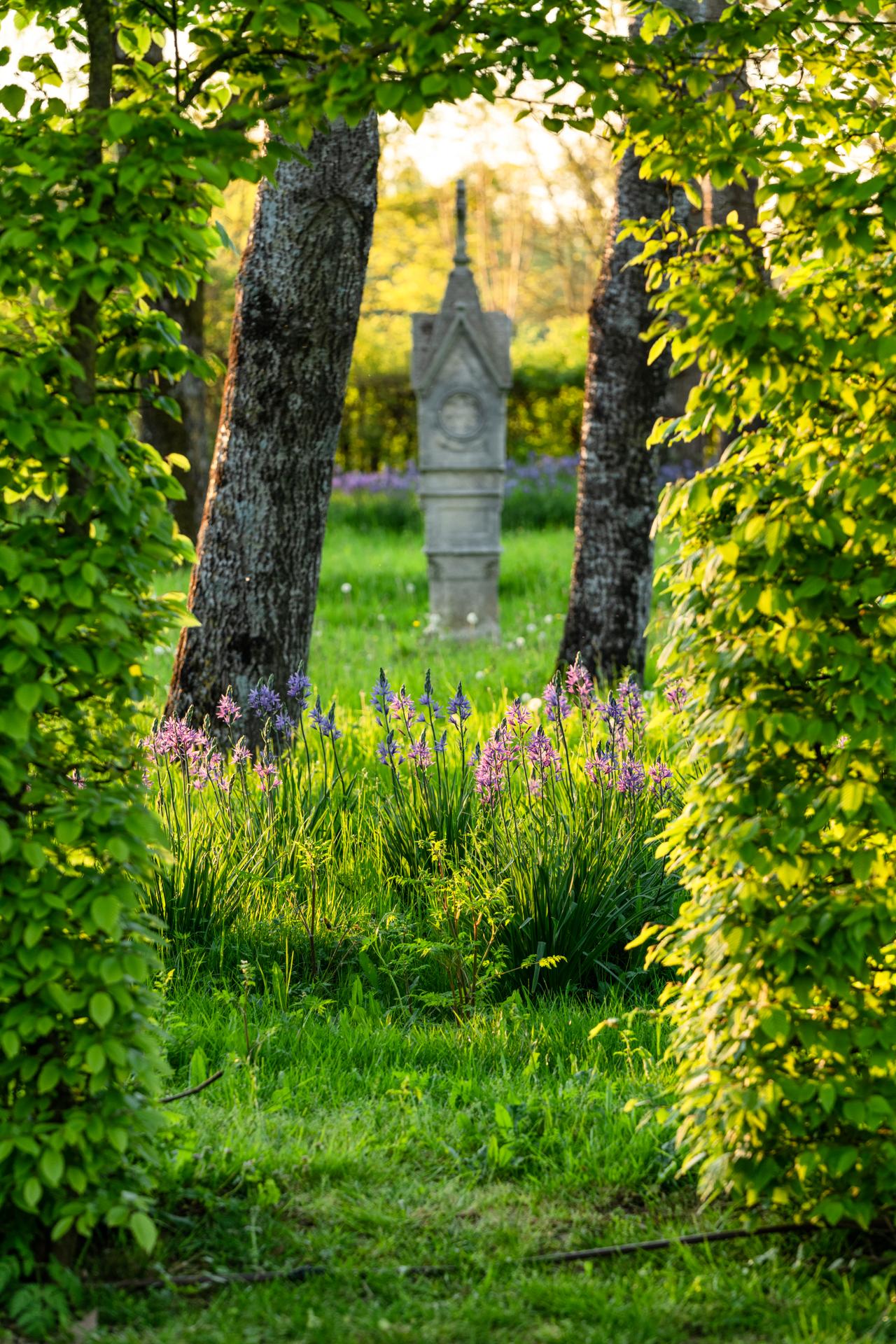 Jardins de William Christie