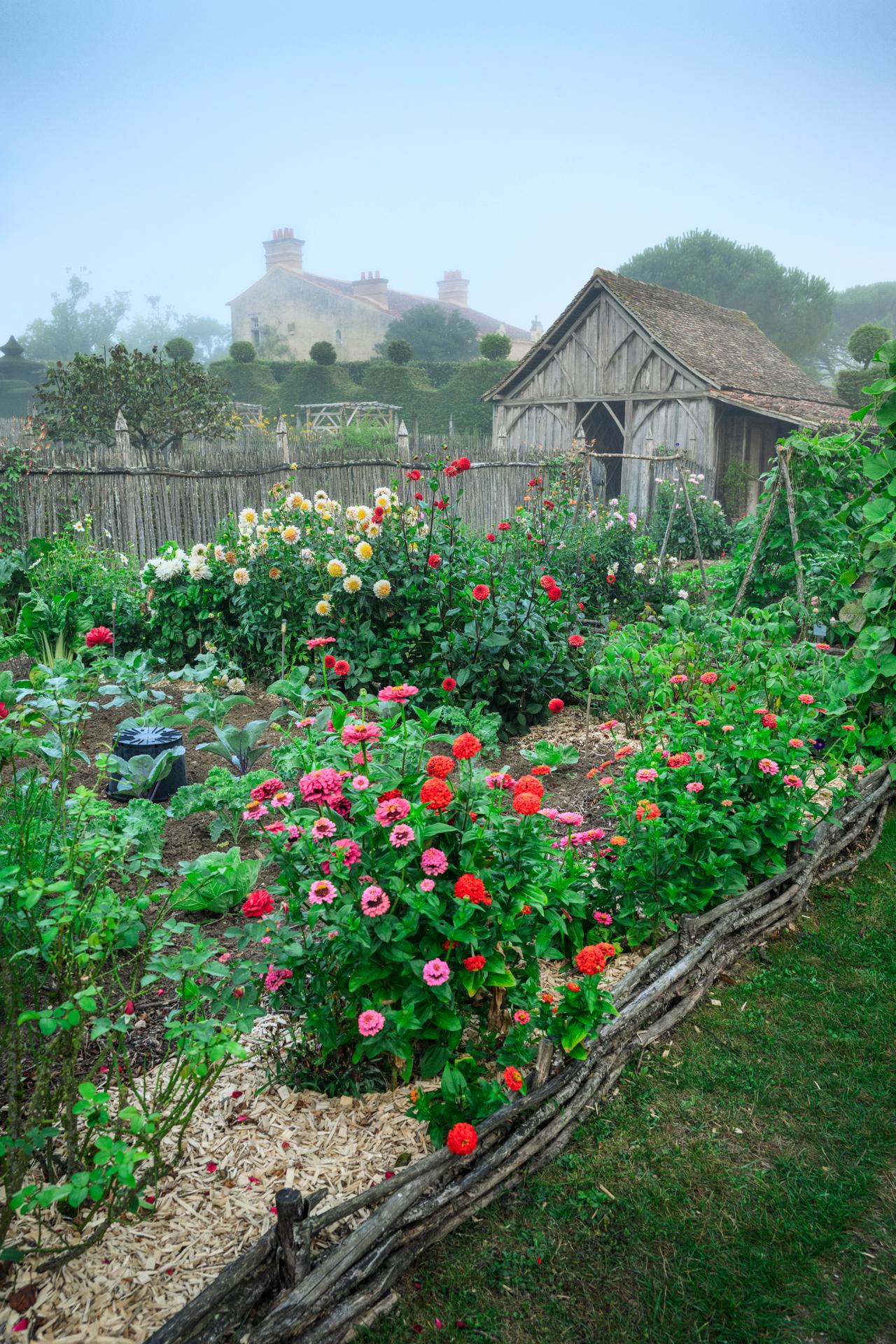 Jardins de William Christie - Potager