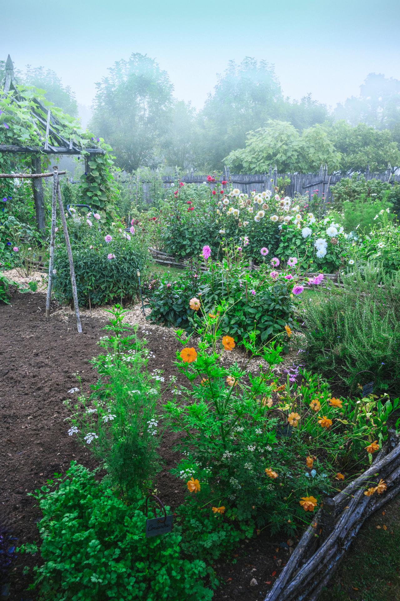 Jardins de William Christie - Potager