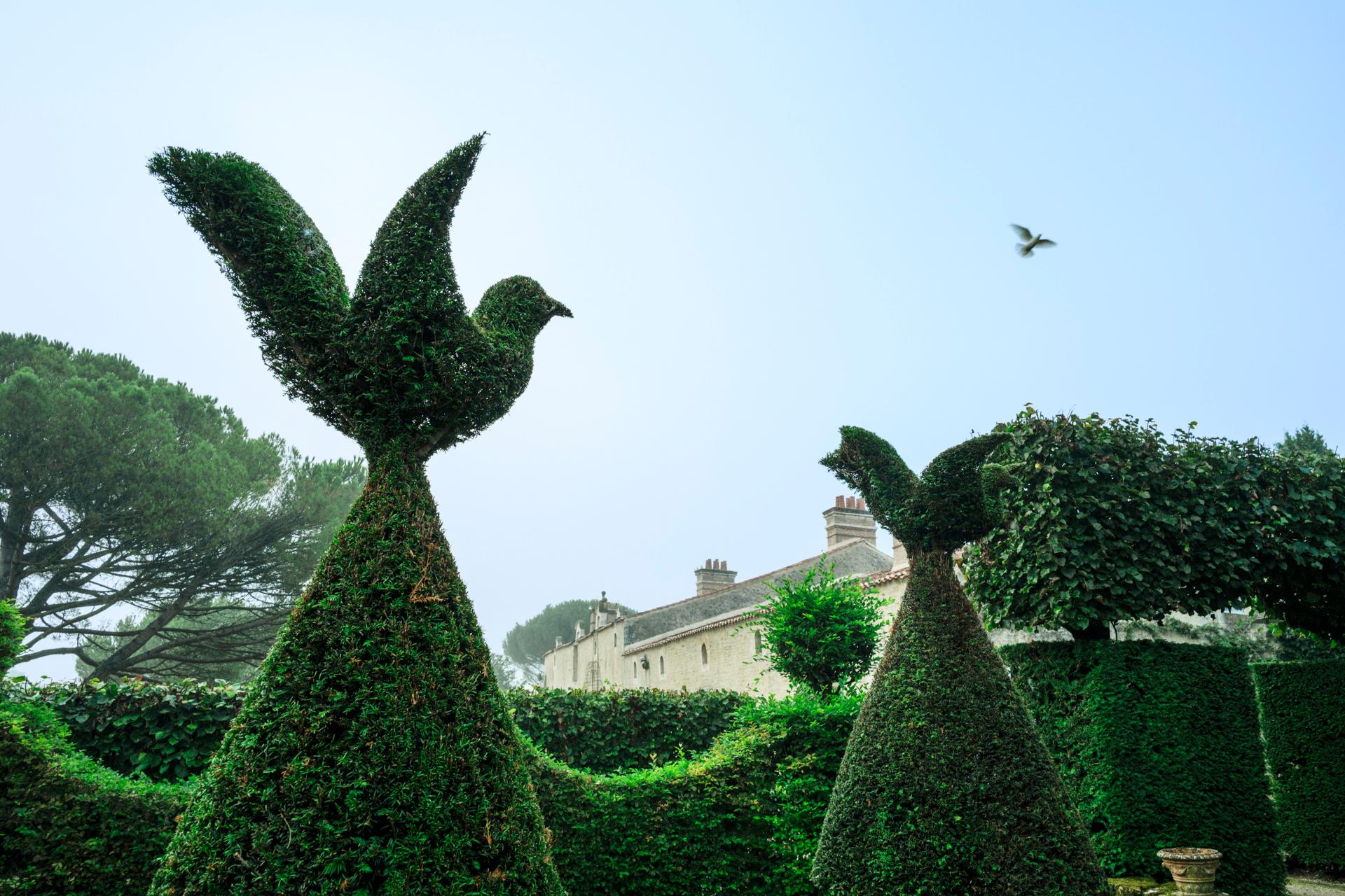 Jardins de William Christie - pigeonnier et topiaire