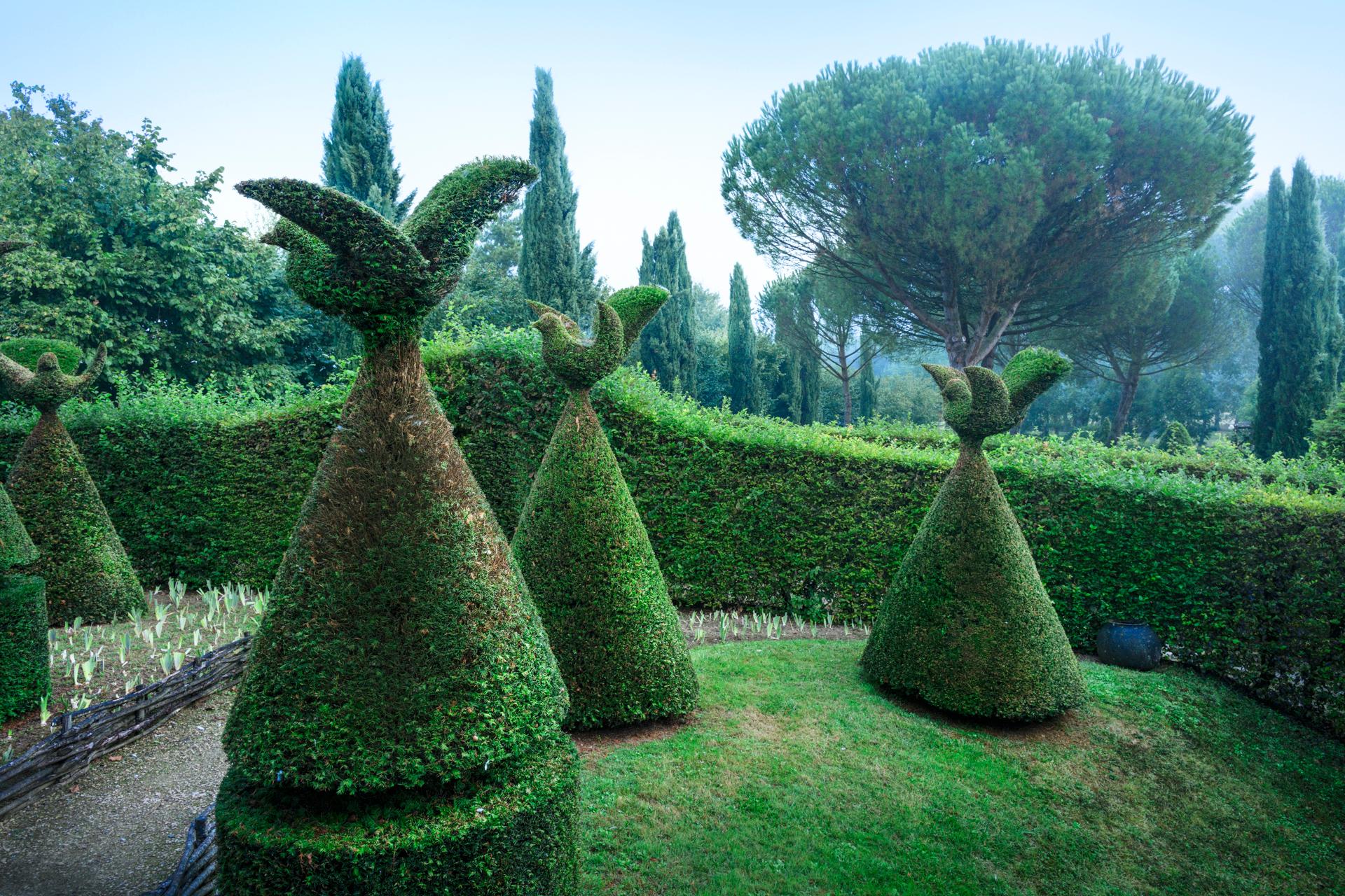 Jardins de William Christie - pigeonnier et topiaire
