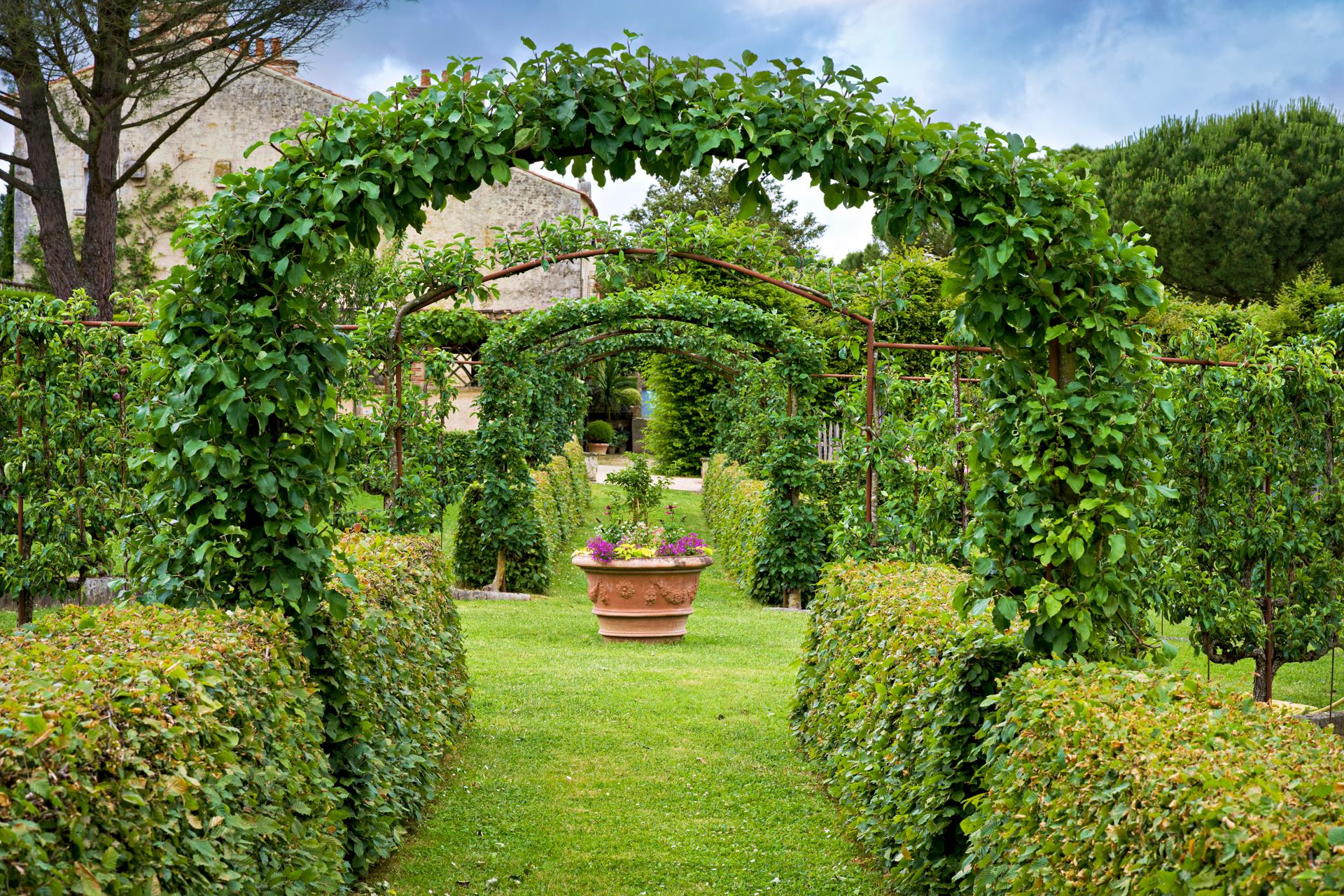 Jardins de William Christie - Verger