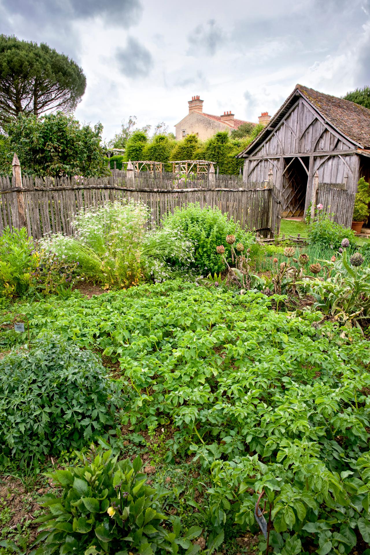 Jardins de William Christie - Potager