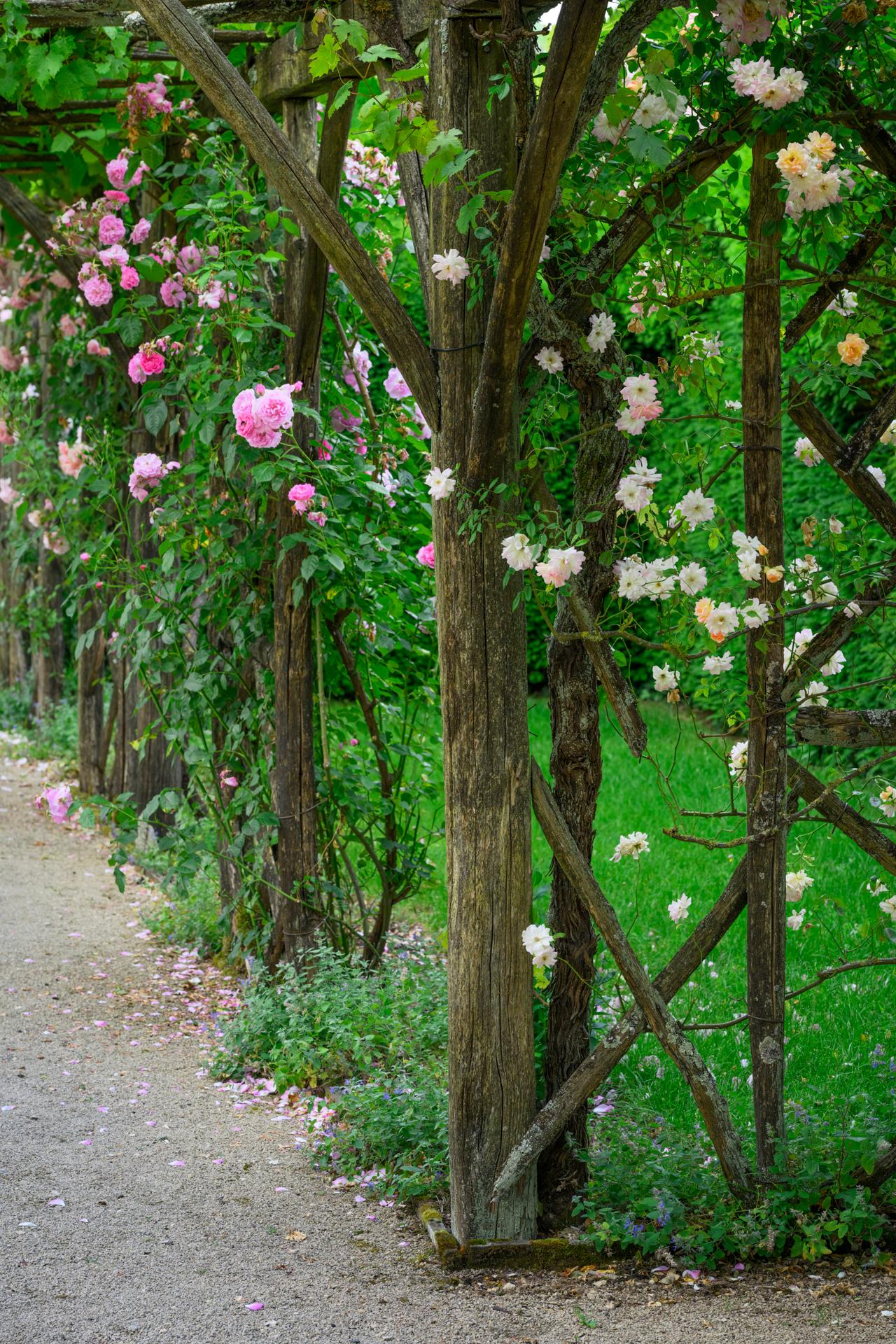 Jardins de William Christie - Cour d'honneur