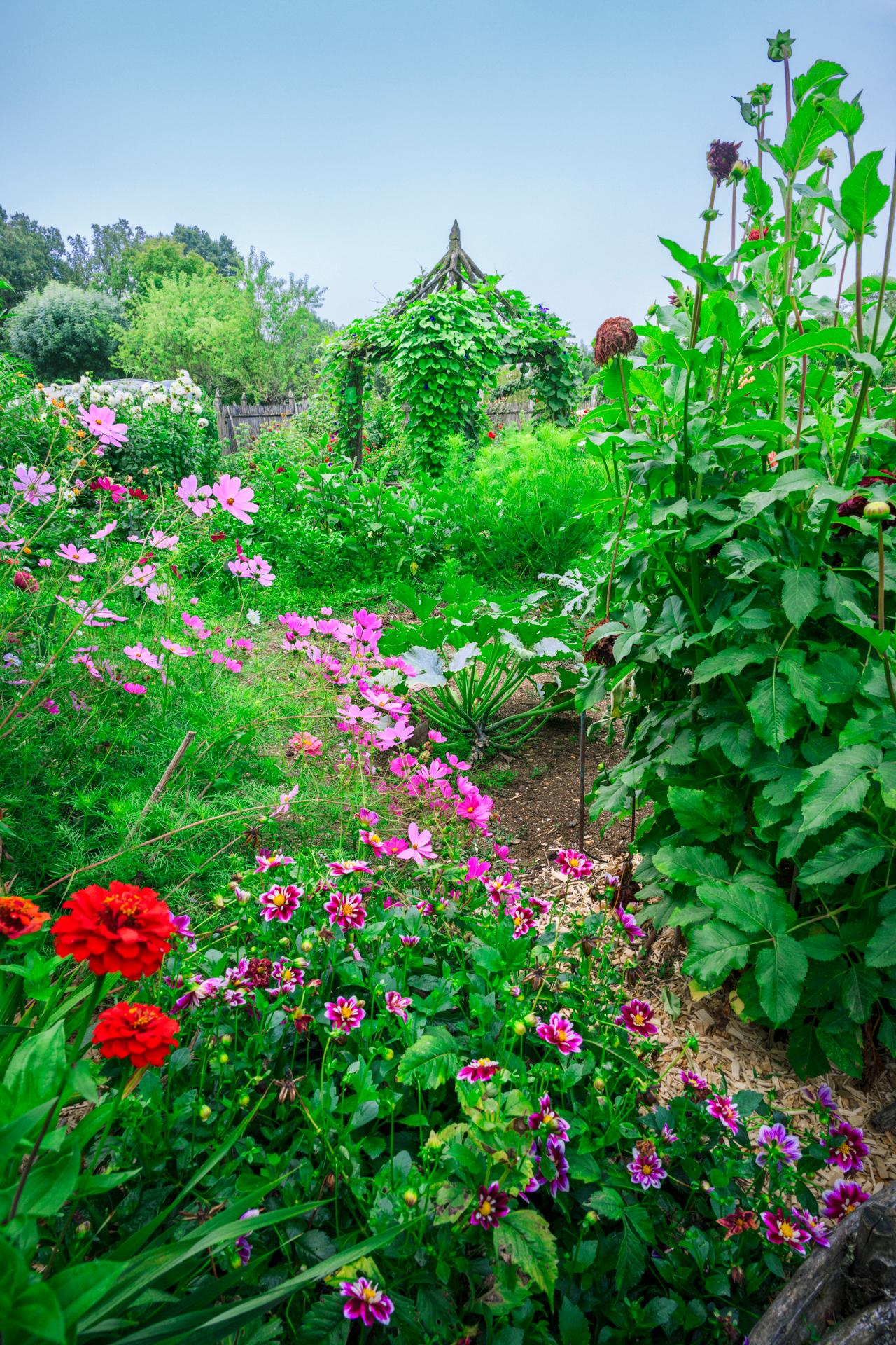 Jardins de William Christie - Potager