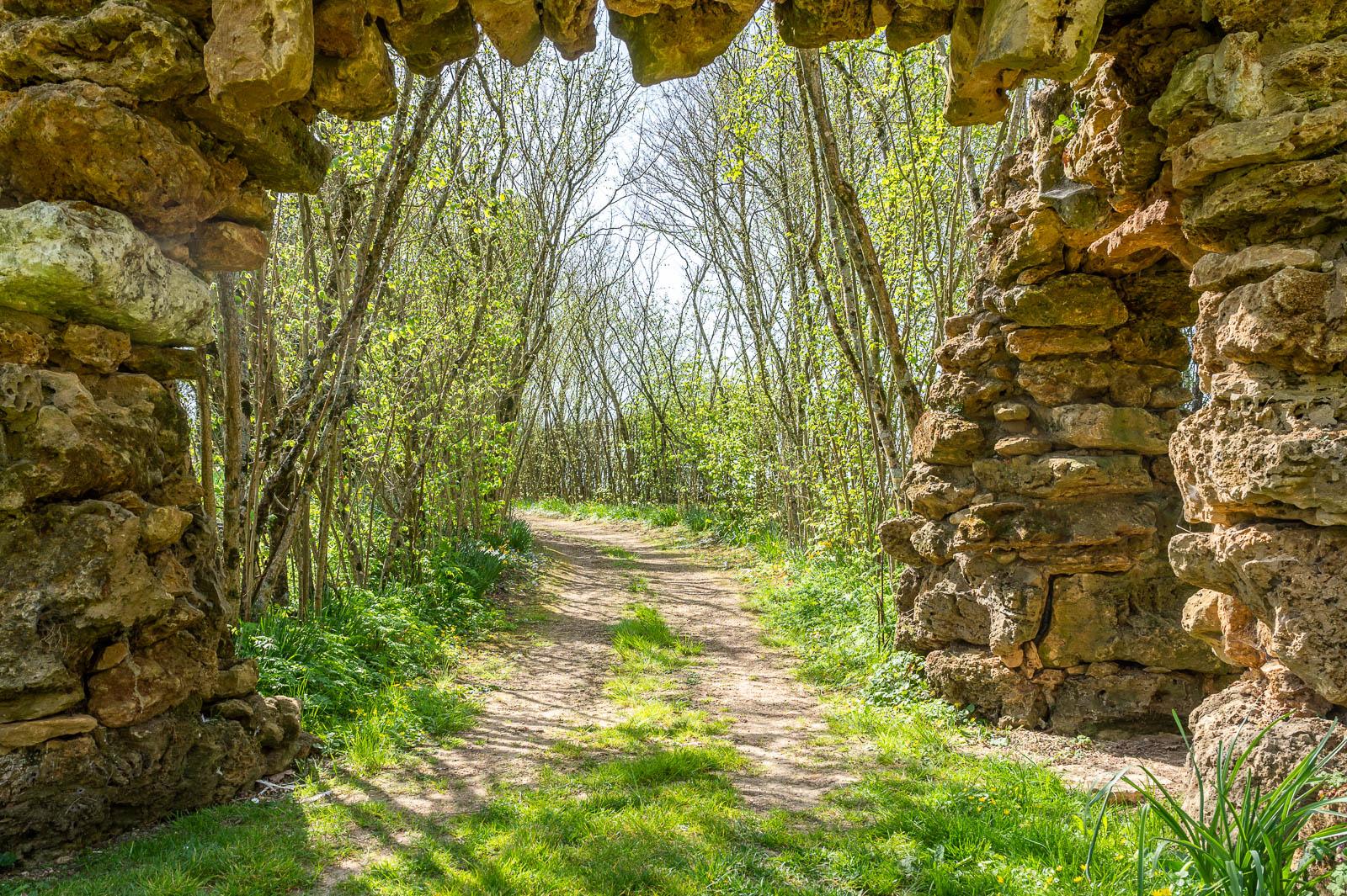Jardins de William Christie - Allée des noisetiers