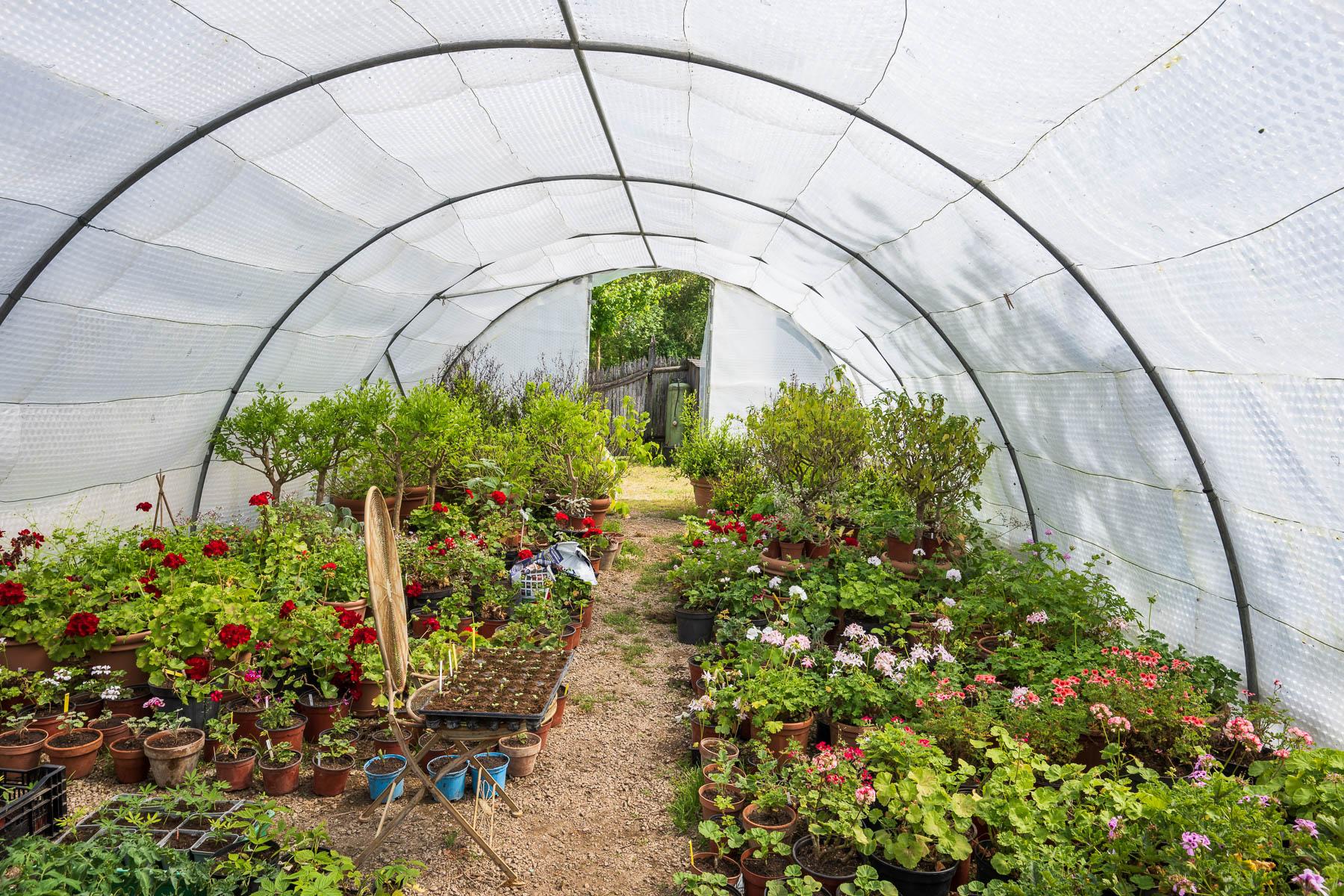 Jardins de William Christie