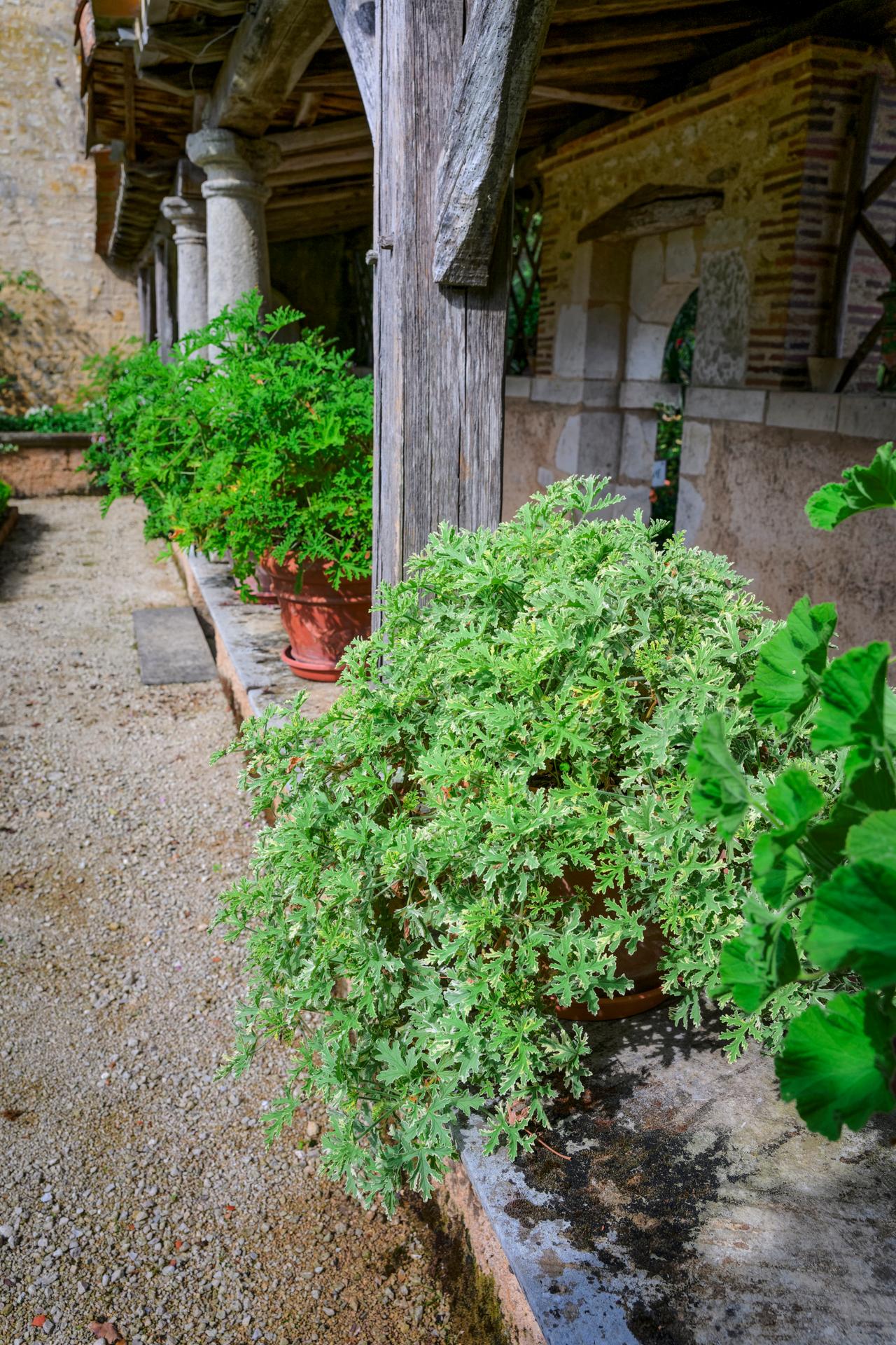 Le Cloître