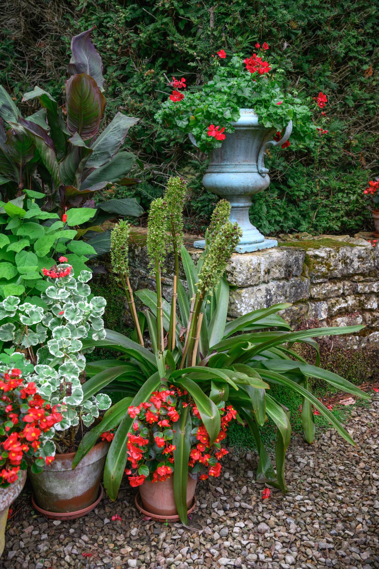 Ateliers jardinage Arts Flo